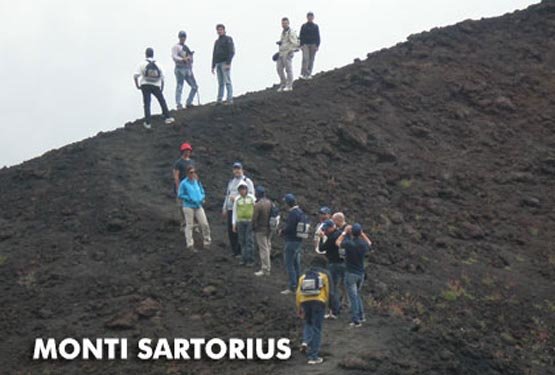 sartorius