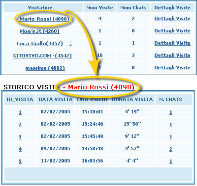statistiche siti web individuali