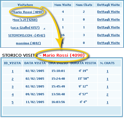 statistiche siti web individuali